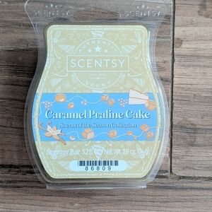 Scentsy Caramel Praline Cake Scent Bar - Blue and Cream